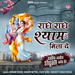 Radhe Radhe Shyaam Mila De - Vijay Soni Song Download